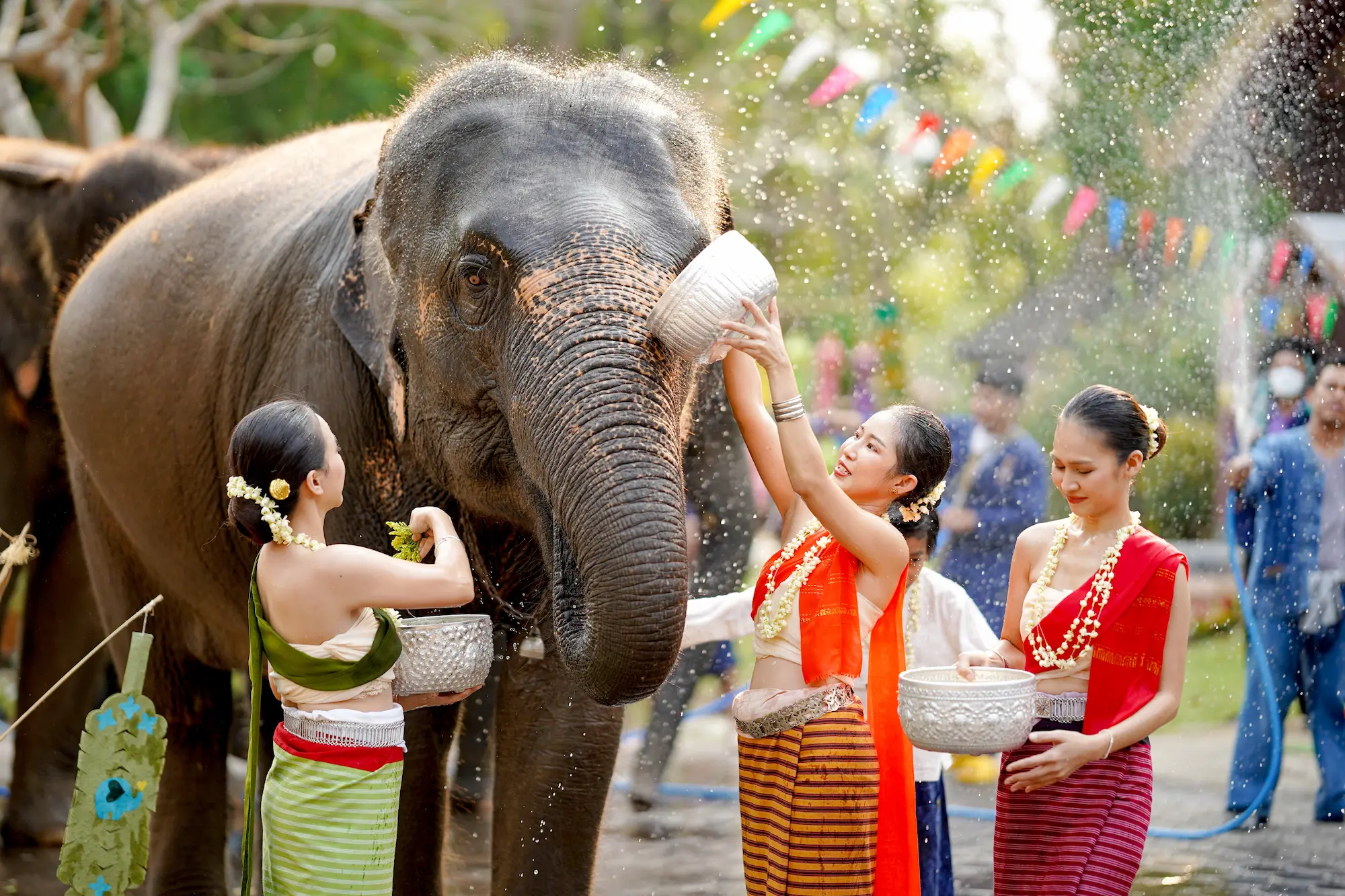 ¿Qué es el Songkran? ó ¿ Festividad del Agua ?
